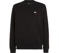 Sweats Tommy Hilfiger REG BADGE CREW EXT DM0DM17986BDS