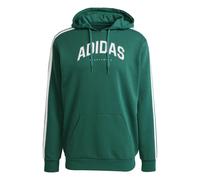 Sweatshirt à capuche adidas Codes Collegiate Vert M Male
