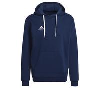Adidas Entrada 22 Hoodie Bleu S / Regular Homme