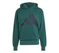 Adidas Sweat à capuche Essentials Big Logo French Terry Coton brossé Vert S Homme