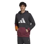 Sweatshirt Ã capuche adidas Sportswear Colorblock Gris L