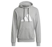 Sweatshirt à capuche adidas Sportswear Future Icons Logo Graphic Gris XS