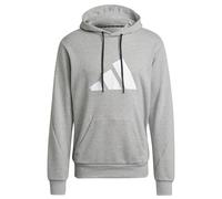 Sweatshirt à capuche adidas Sportswear Future Icons Logo Graphic Gris XS