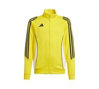 Sweatshirt à capuche Adidas Tiro 24 Training IR9507