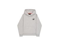 Sweatshirt à capuche Alpha Industries Signature Gris L