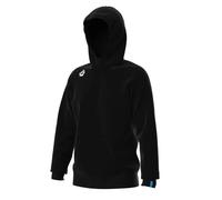 Sweatshirt à capuche Arena Team Panel Noir L