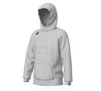 Sweatshirt à capuche Arena Team Panel Gris M