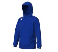 Sweatshirt à capuche Arena Team Panel Bleu M