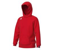 Sweatshirt à capuche Arena Team Panel Rouge XS
