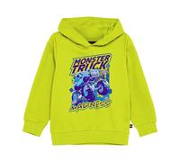 Sweatshirt Ã capuche bÃ©bÃ© Lego Lwsaku 608 Vert 3 ans