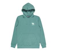 Billabong Foundation Hoodie Vert S Homme