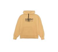 Sweatshirt à capuche Caterpillar Basic Marron XS