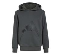 Adidas Sweatshirt à capuche enfant Essentials classique Gris Unisexe 11/12 ans