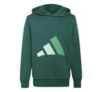 Sweatshirt à capuche classique enfant adidas Essentials Vert 13/14 ans