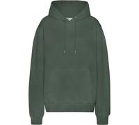 Sweatshirt à capuche Colorful Standard Classic Organic Midnight Forest Vert XL