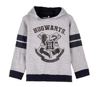 Sweatshirt Ã capuche coton brossÃ© enfant Cerda Harry Potter Gris 8 ans