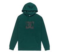 Sweatshirt Ã capuche DC Shoes Star PH Vert L