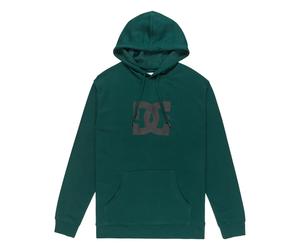 Sweatshirt Ã capuche DC Shoes Star PH Vert XS