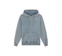 Sweatshirt Ã capuche Dickies Plentywood Gris L