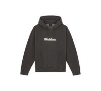 Dickies Slayden Gd Hoodie Noir M Homme