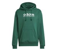Adidas All Szn Fleece Graphic Hoodie Vert S / Regular Homme