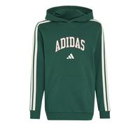 Sweatshirt à capuche enfant adidas Codes Collegiate Graphic Vert 7/8 ans