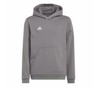 Adidas Sweat à capuche Entrada 22 Gris Enfants 5-6 ans