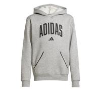 Hoodie Garçons Kids unisex Adidas Ess Collegiate Junior Gris avec des poches