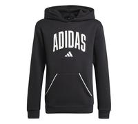 Sweatshirt à capuche enfant adidas Essentials Collegiate Typography Noir 9/10 ans
