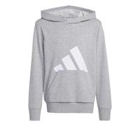 Adidas Sweat à capuche Essentials Grand logo Gris 13-14 ans (Enfants)
