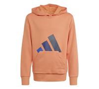 Adidas Sweatshirt à capuche Essentials Enfants Orange 13-14 ans