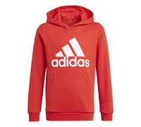 adidas Mixte Enfant Entrada 22 Sweat Hoodie
