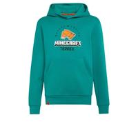 Sweatshirt à capuche enfant adidas Minecraft Terrex 5/6 ans