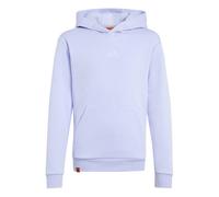 Adidas Sweat à Capuche Minecraft Terrex