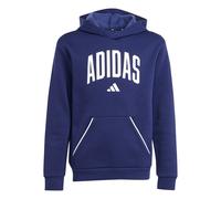 Adidas Sweatshirt à capuche enfant Seasonals Essentials Collegiate Bleu 11/12 ans