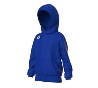 Sweatshirt à capuche enfant Arena Team Panel 10/11 ans