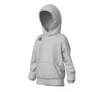 Sweatshirt à capuche enfant Arena Team Panel Gris 8/9 ans