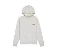 Sweatshirt Ã capuche enfant DC Shoes Patch It Gris 12 ans