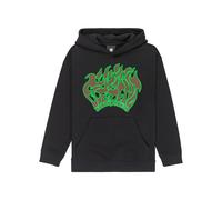 Element Hot Sauce Hoodie Noir 16 Years Garçon