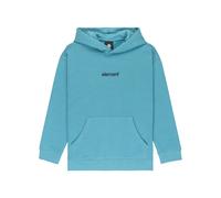 Element Lowcase Hoodie Bleu 16 Years Garçon