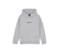 Element Lowcase Hoodie Gris 16 Years Garçon