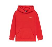 Element Co Hoodie Rouge 16 Years Garçon