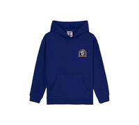 Sweatshirt Ã capuche enfant Element Timber Drips Bleu 14 ans