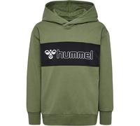 Sweatshirt à capuche enfant Hummel Atlas Vert 4 ans