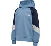 Sweatshirt à capuche enfant Hummel Bleu 11/12 ans