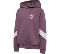 Hummel Loose Bts Hoodie Violet 158-164 cm Enfants
