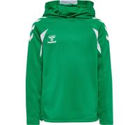 Sweatshirt à capuche enfant Hummel Core 2.0 Vert 12 ans