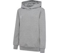Sweatshirt à capuche enfant Hummel Go 2.0 Gris 14 ans