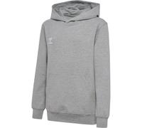 Sweatshirt à capuche enfant Hummel Go 2.0 Gris 14 ans