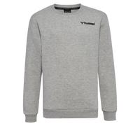 Sweatshirt à capuche enfant Hummel hmlMOVER Gris 8 ans